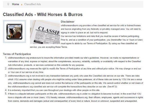 Database for Classified Ads