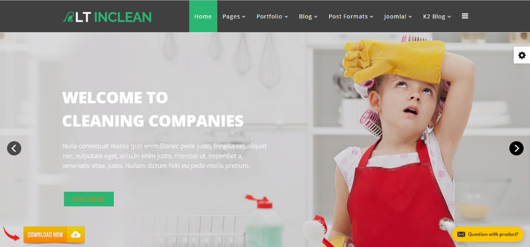 Cleaning Company
